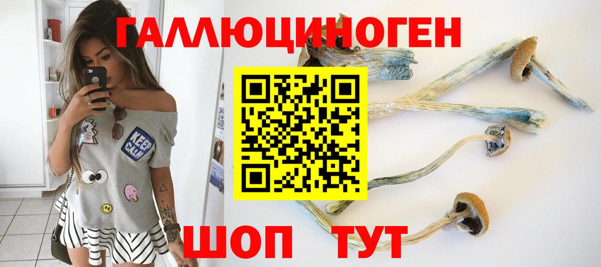 Псилоцибиновые грибы GOLDEN TEACHER Всеволожск